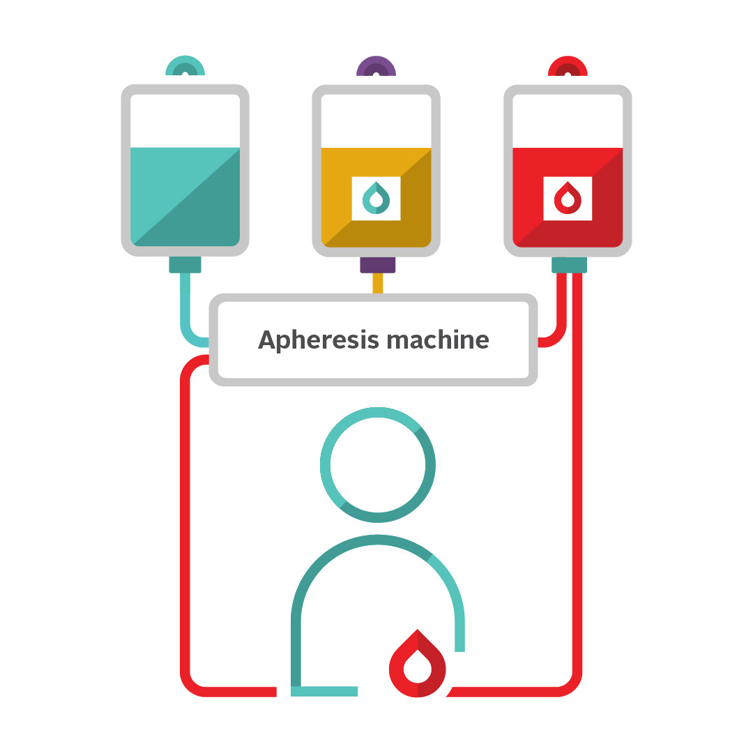 Peripheral infographic icon - symbol