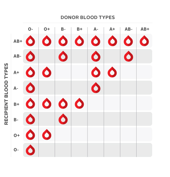 Which blood types are compatible with each other: Blood type