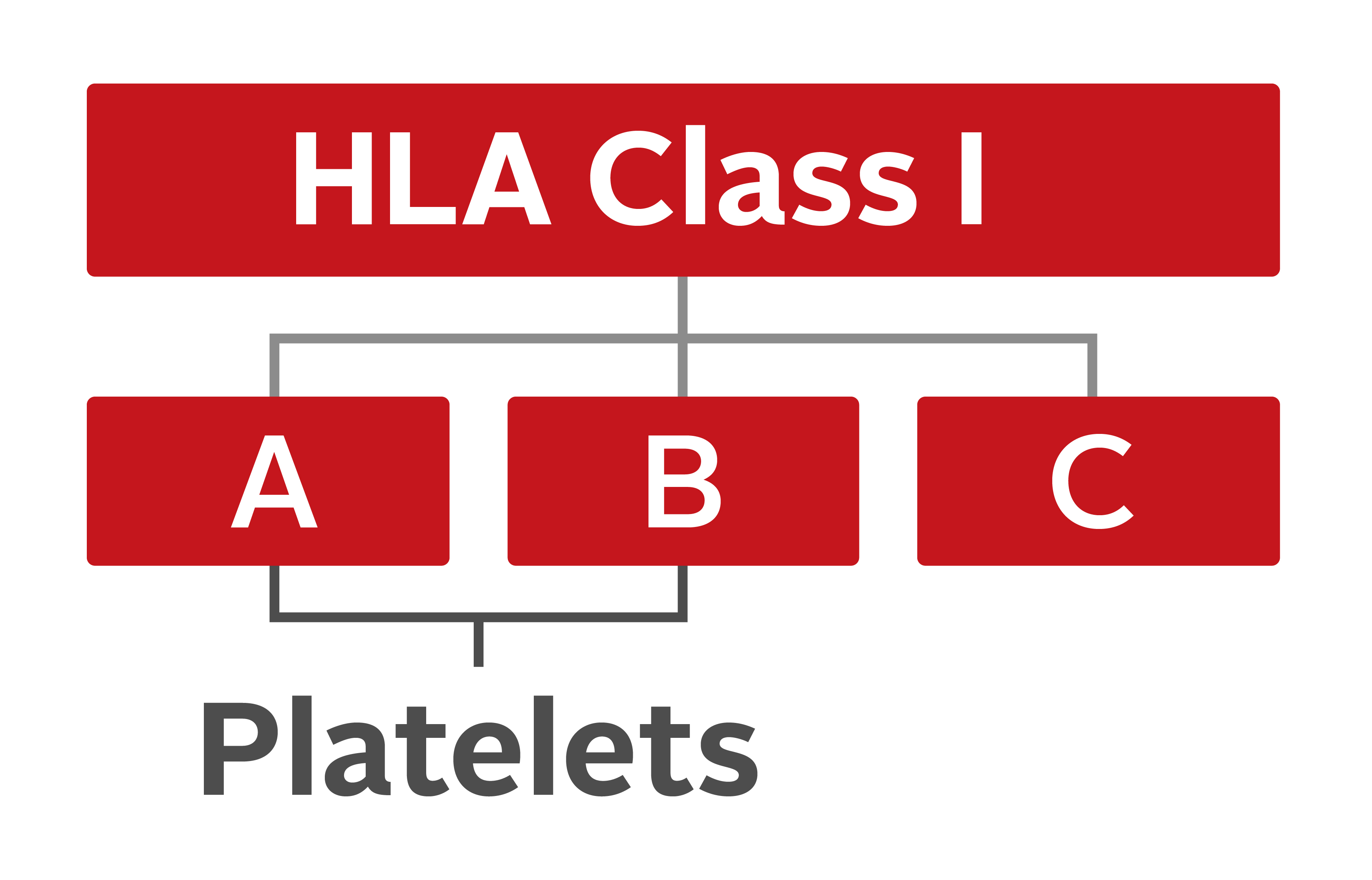 HLA Class I