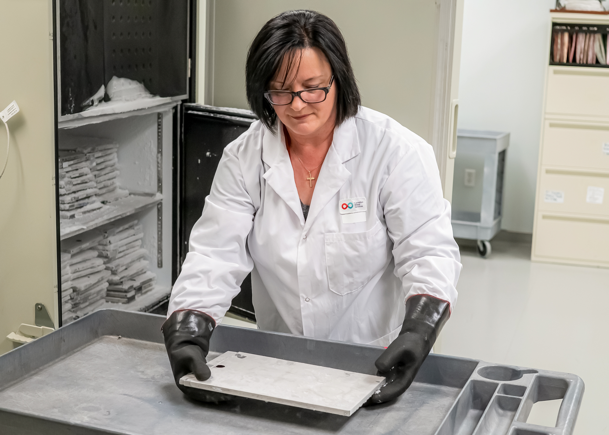 Image of laboratory assistant Angela Hunt, holding a large piece of metal used to store red blood cells of rare types that will go into special freezers in the testing lab