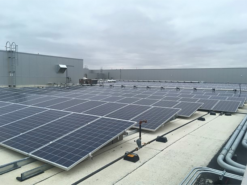 Image of solar panels on the roof at the Canadian Blood Services' new Calgary operations facility