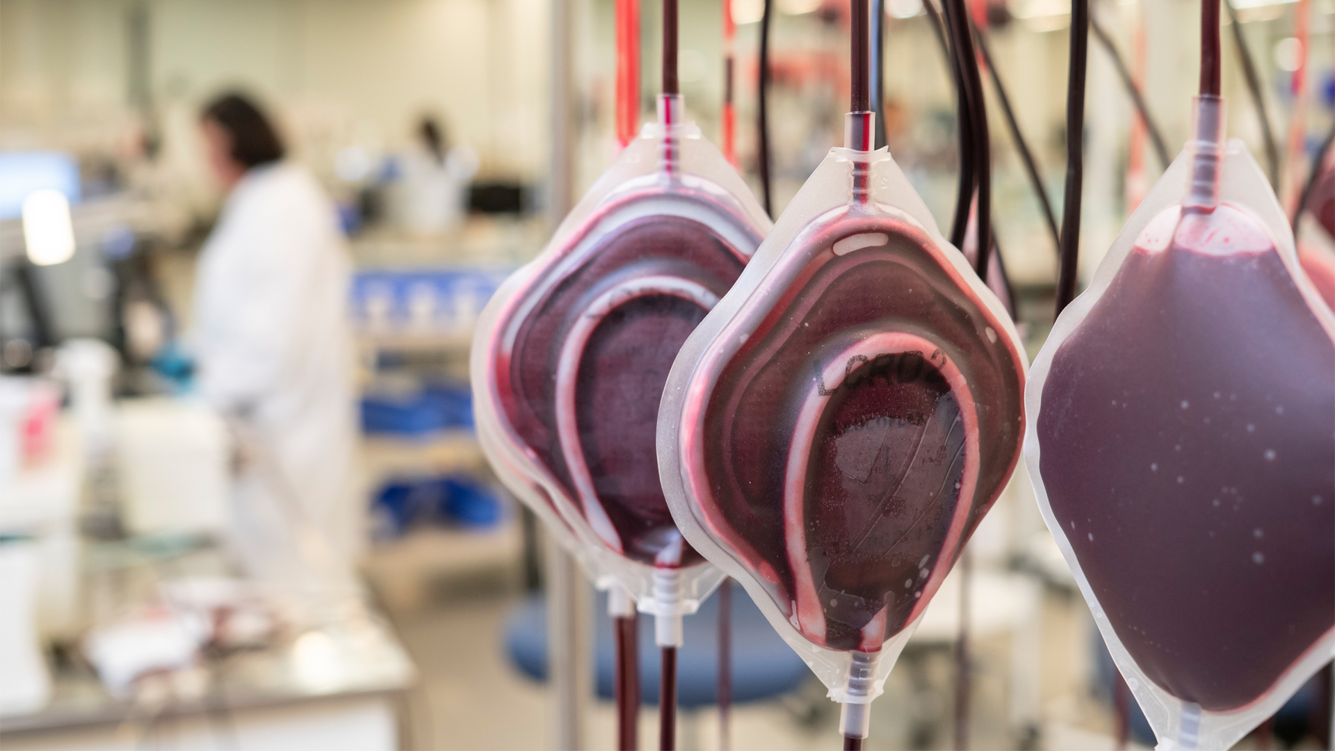 Image of blood being filtered
