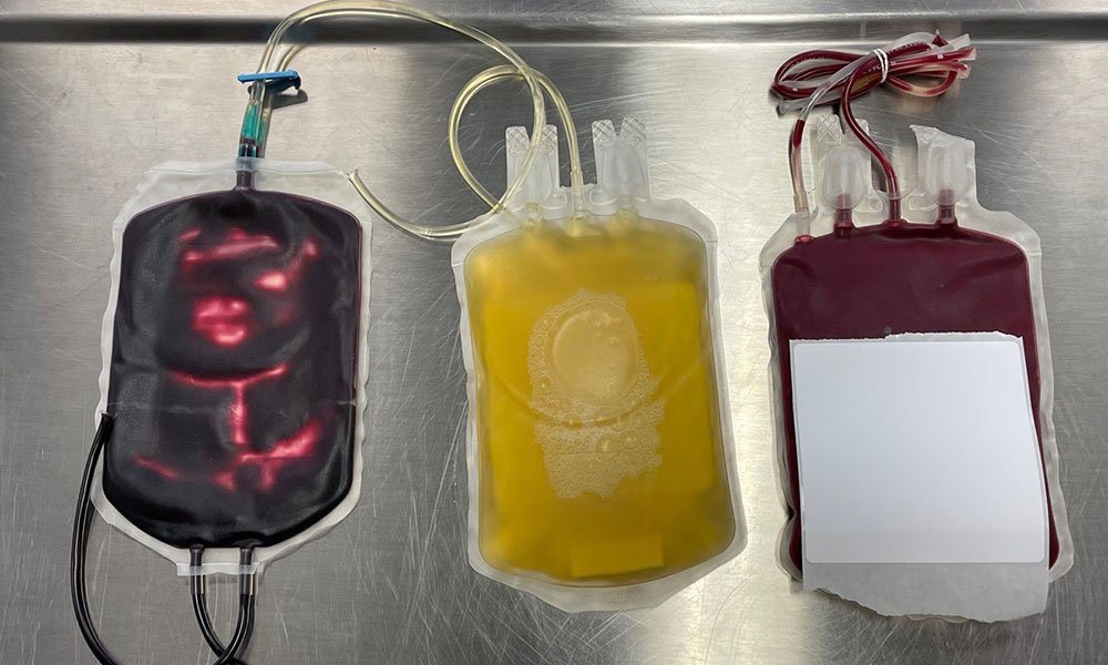 A dark red bag, a yellow bag and a red bag