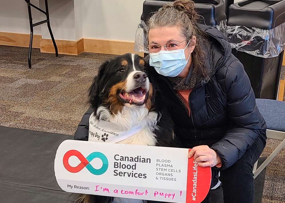 A woman wearing a mask crouches down with a therapy dog