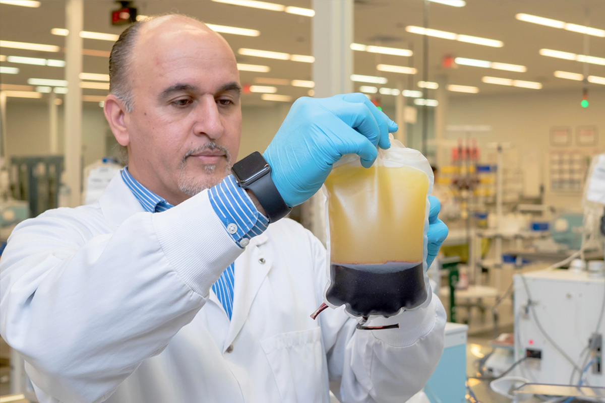 A medical laboratory technologist holding a bag of blood separated into components.