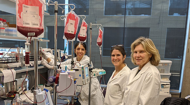 three researchers in white lab coats testing for blood products.