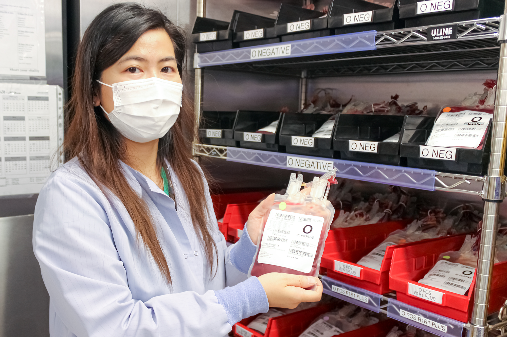image of Technical Specialists Zerlina Tam holding up a rare blood bag standing in front of shelves filled with negative blood bags and positive blood bags