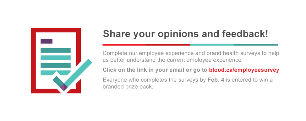 Share your opinions and feedback!