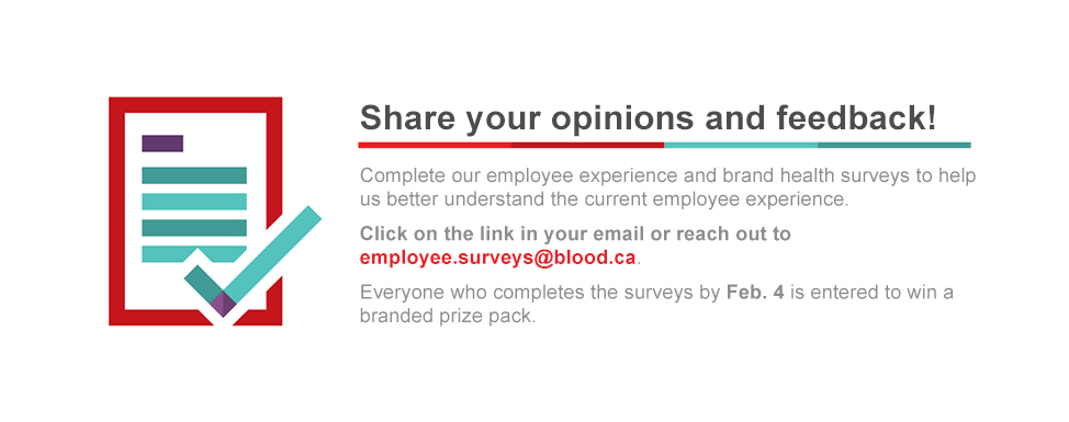 Share your opinions and feedback!