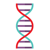 DNA strand Icon - symbol