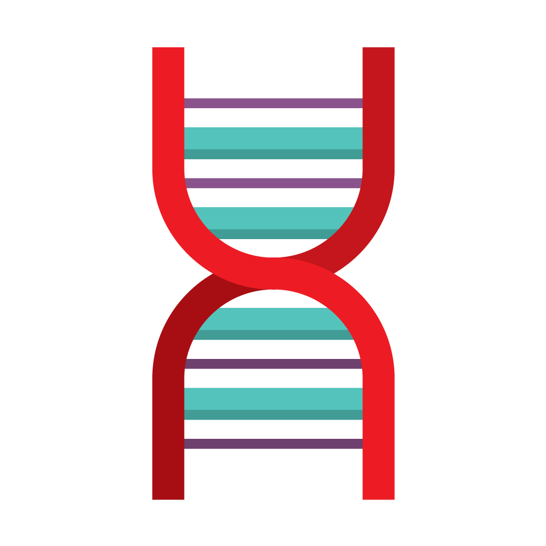 Line drawing of DNA stem cells