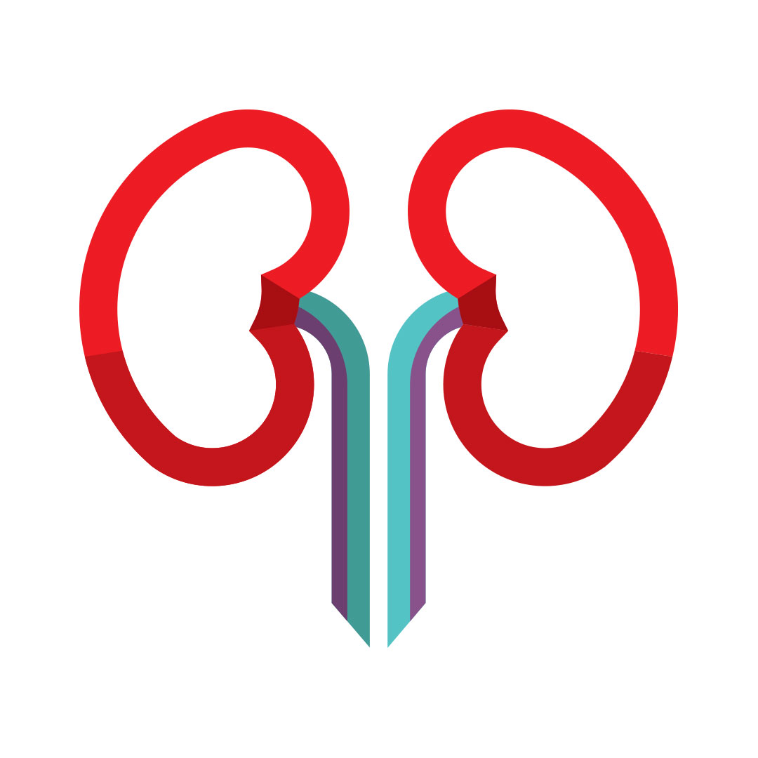 Kidneys