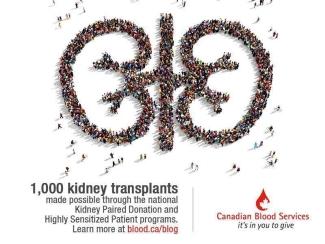1000 kidney transplants