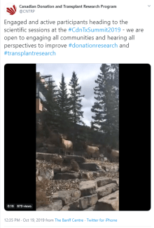 A tweet from the summit showing animals that look like deer or caribou walking down a path