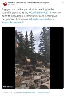 A tweet from the summit showing animals that look like deer or caribou walking down a path