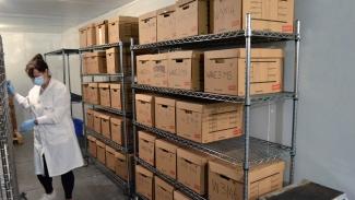 Image of boxes in the freezer with a lab technician