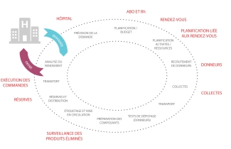 A diagram representing the donor cycle