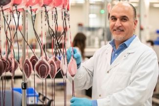 A lab assistant with red blood cells that are being filtered at Canadian Blood Services.