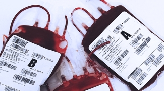Bags of blood on a white background. Blood types seem to be A, B and O.