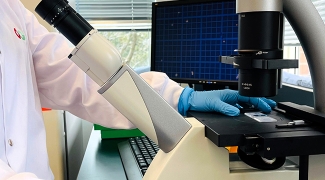 person looking under a microscope