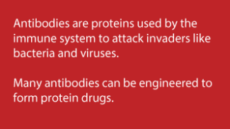 what are antibodies