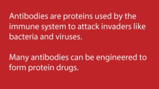 what are antibodies what are antibodies
