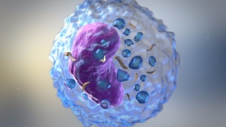Natural Killer Cell - istock