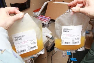 platelets collected through apheresis platelets collected through apheresis
