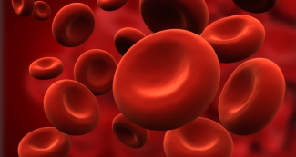 red blood cells