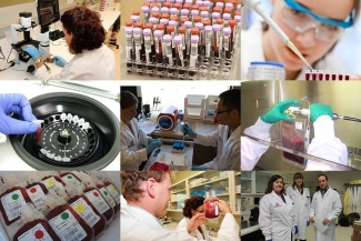 research montage research montage