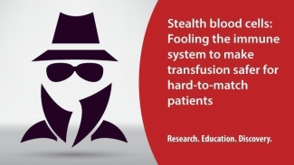 Stealth Red Blood Cells
