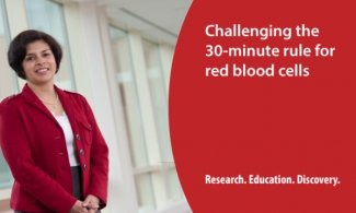 Challenging the 30-minute rule for red blood cells. Research. Education. Discovery.