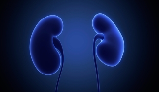 Blue kidneys