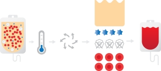 steps in red blood cell manufacturing process