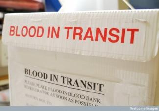 blood in transit