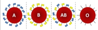 Blood Type Flags