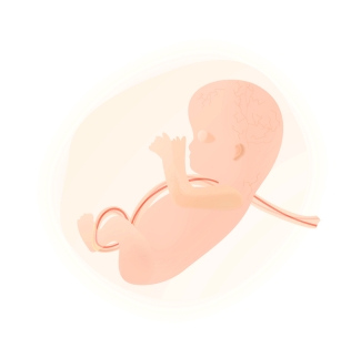 cord blood cord blood