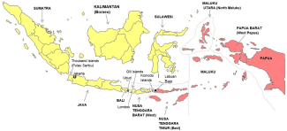 Map of malaria risk in various areas of Indonesia