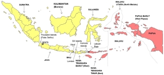 Map of malaria risk in various areas of Indonesia