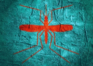mosquito generic mosquito generic