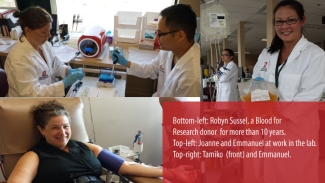 At work at netCAD Robyn Sussel, a long-time blood for research donor (bottom-left); Joanne and Emmanuel at work in the lab (top-left); Tamiko and Emmanuel (top-right).