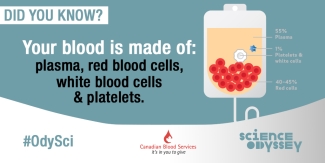 Blood is made up of plasma, platelets, white blood cells and red blood cells. Blood is made up of plasma, platelets, white blood cells and red blood cells.