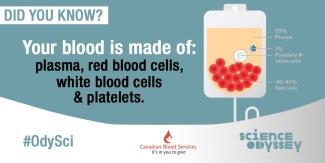 Blood is made up of  plasma, platelets, white blood cells and red blood cells.