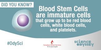 Science Odyssey 2016 - stem cells Science Odyssey 2016 - stem cells