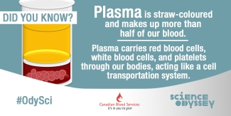 Science Odyssey 2016 - Plasma