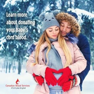 Two people wearing winter closing and embracing each other either their arms on the pregnant's woman belly. Learn more about donating your baby's cord blood.