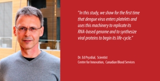 Ed Pryzdial Ed Pryzdial