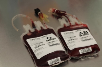 red blood cells red blood cells