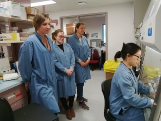 2. Training international students to perform the monocyte monolayer assay. Charlotte Paquet (France), Mairead Holton (Ireland), and Elodie Dupeuble (France) watch Selena Cen (Branch laboratory, Canadian Blood Services) perform the monocyte monolayer assay.