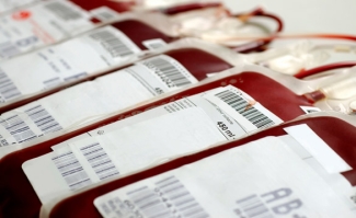 Image of multiple blood bags laid out beside each other lined up in a row